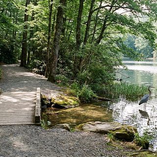 Small still lake ringed by green hardwoods with a gravel trail along the near shore